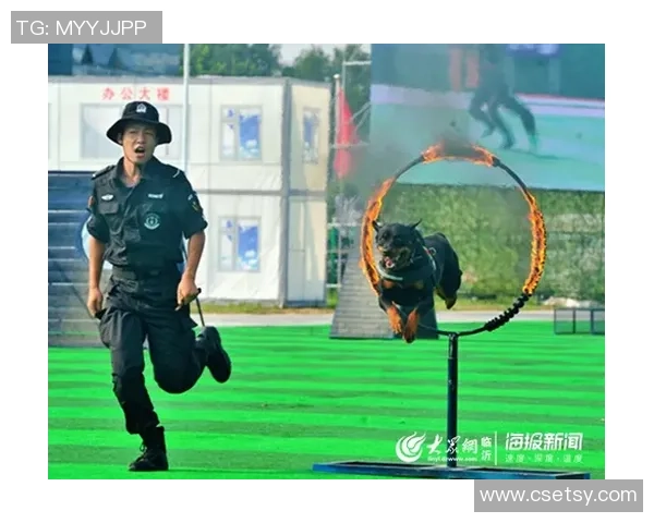 重庆飞盘队快攻战术深度分析与实战应用探讨